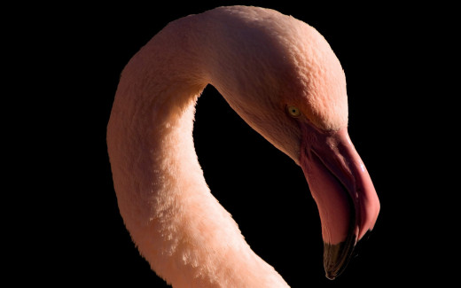 875584 (a): :2560x1600